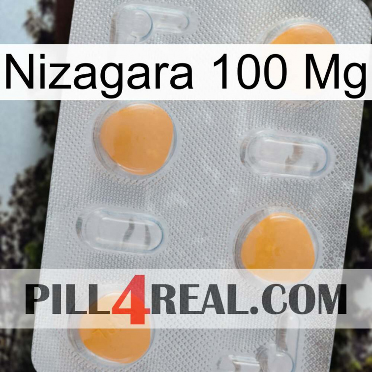 Nizagara 100Mg 24